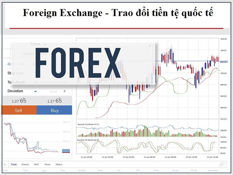 Công an TP. Hà Nội vạch trần thủ đoạn của sàn giao dịch Forex