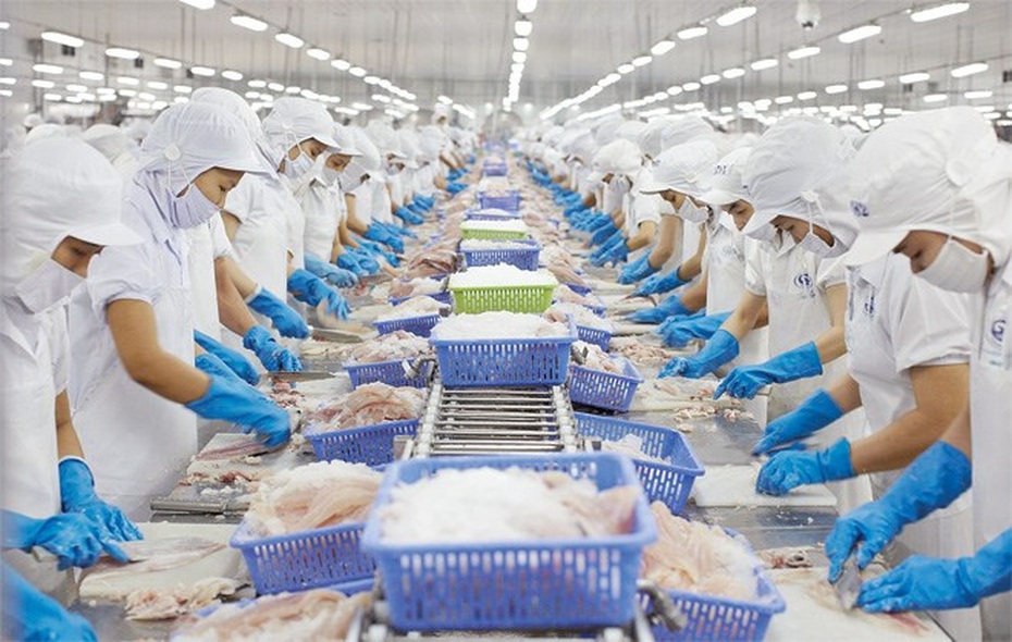 Xuất khẩu thủy sản "giảm tốc", doanh nghiệp chờ mùa lễ hội