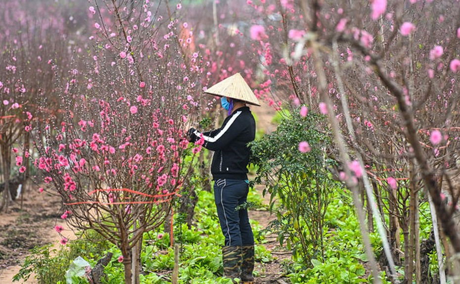 Đề xuất 2 phương án nghỉ Tết Nguyên đán Quý Mão năm 2023