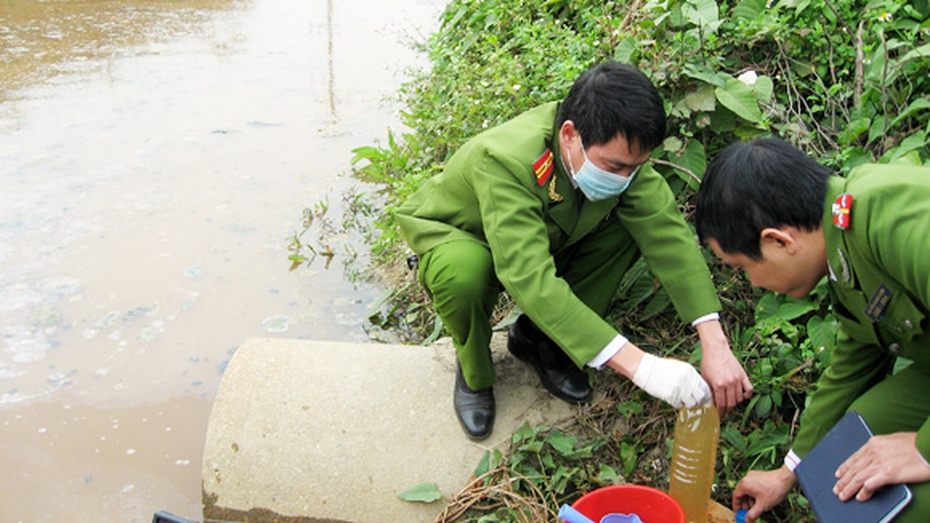 Mua tin trong xử phạt vi phạm hành chính tối đa 50 triệu đồng/vụ việc