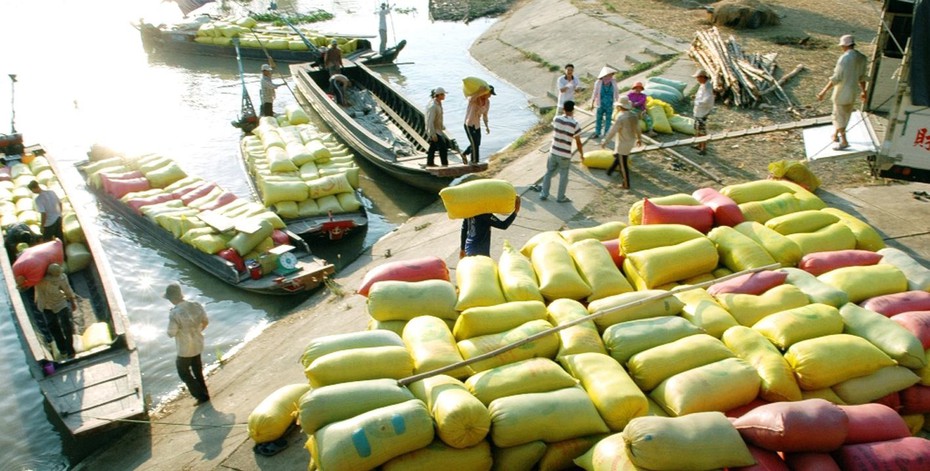 Gạo lậu trà trộn, “tung hoành” các tỉnh ĐBSCL, cần biện pháp ngăn chặn