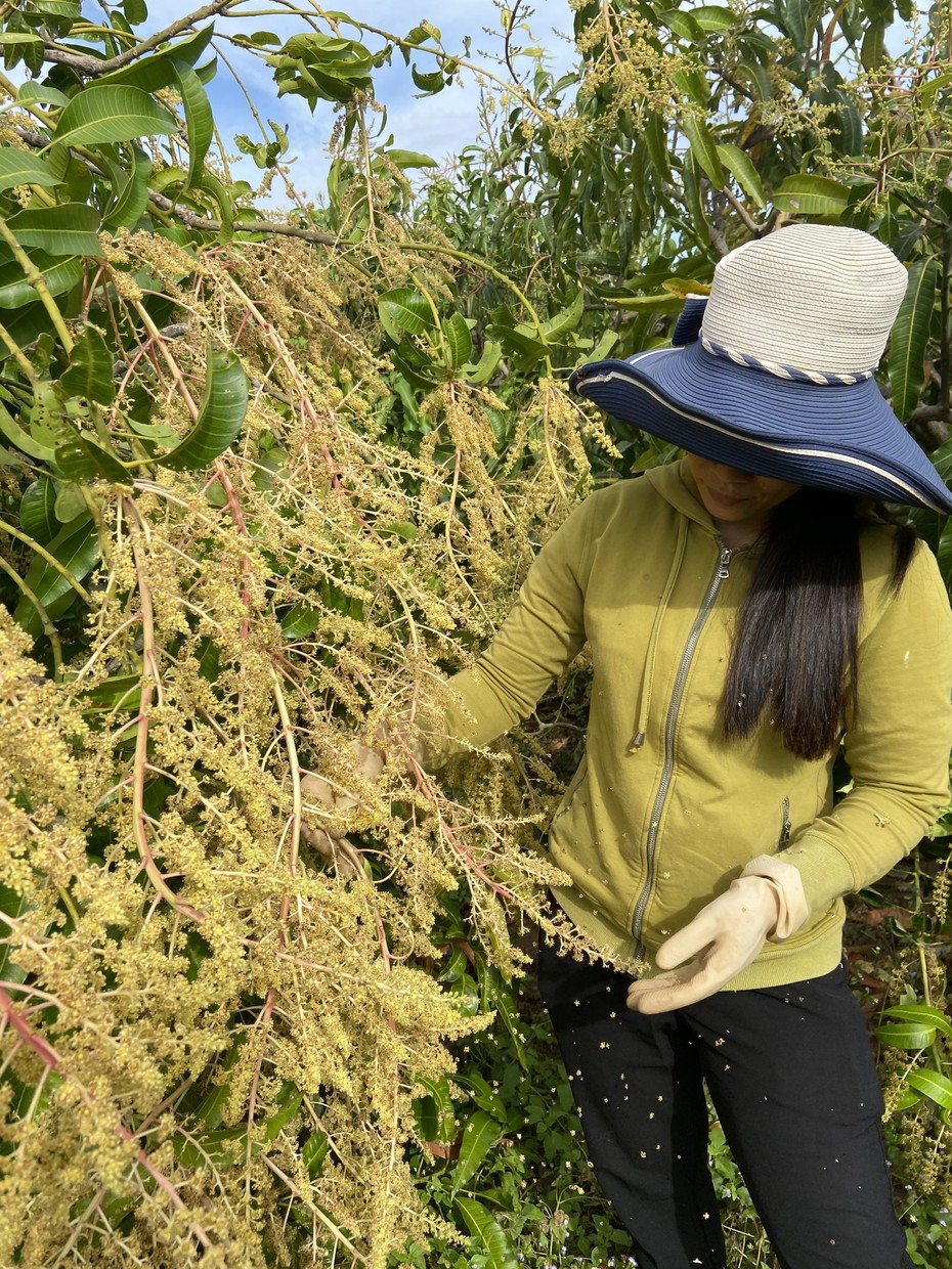 Ai một lần qua Thạnh Phú, Bến Tre