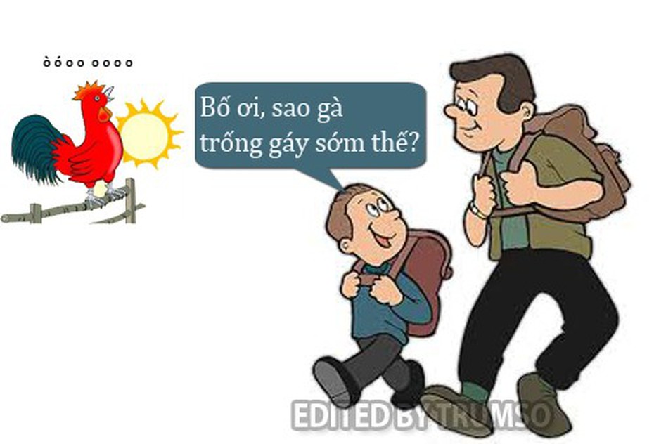 Sáng cười: Gà trống tại sao gáy sớm?