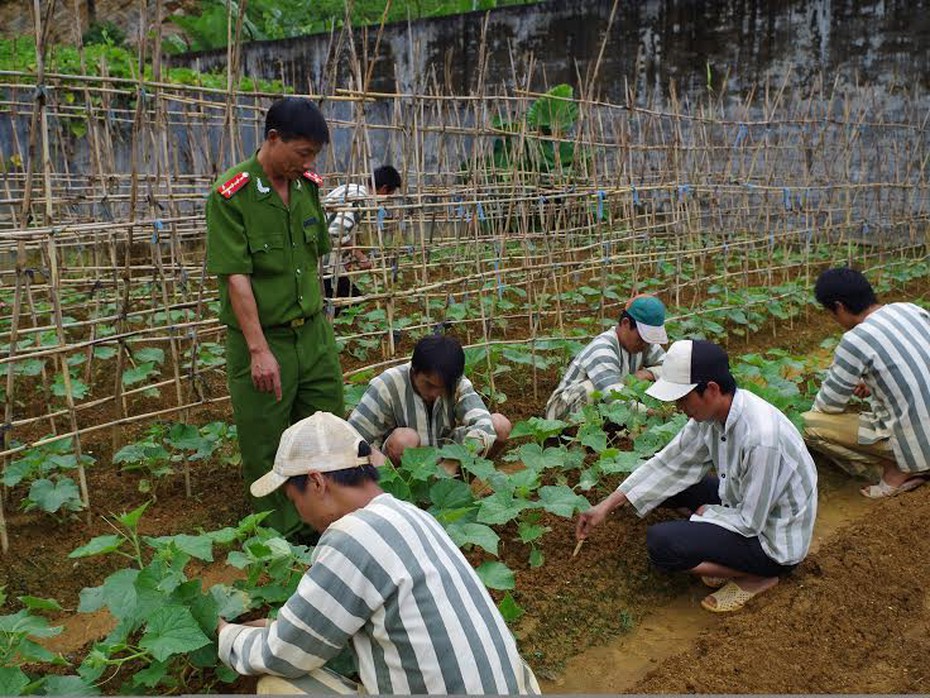 Có nên cho phép phạm nhân được lao động ngoài trại giam?