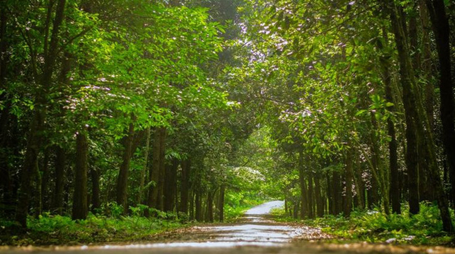 Tuyển sinh năm 2019: Lần đầu tiên Việt Nam có ngành Du lịch sinh thái