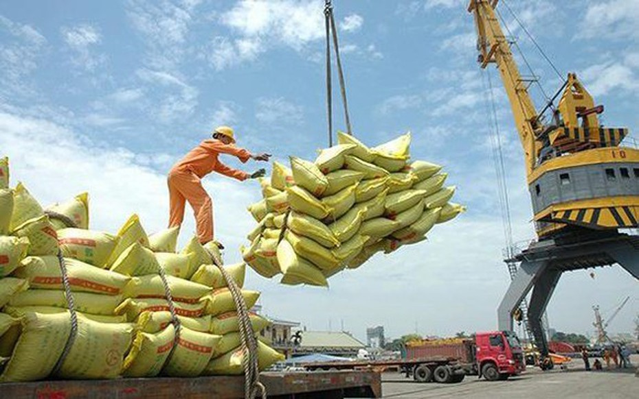 Thủ tướng yêu cầu thanh tra làm rõ có hay không dấu hiệu trục lợi trong xuất khẩu gạo