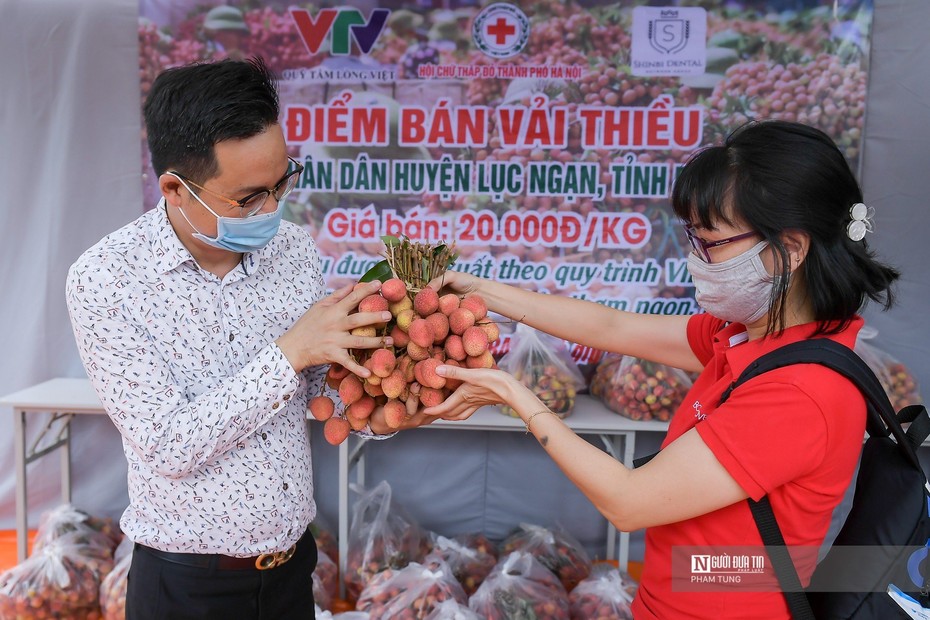 Bác sĩ “vải thiều” gom hàng trăm tấn vải hỗ trợ người dân Bắc Giang