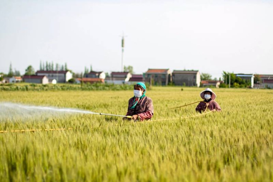 "Xu hướng khó đảo ngược" thách thức nền nông nghiệp