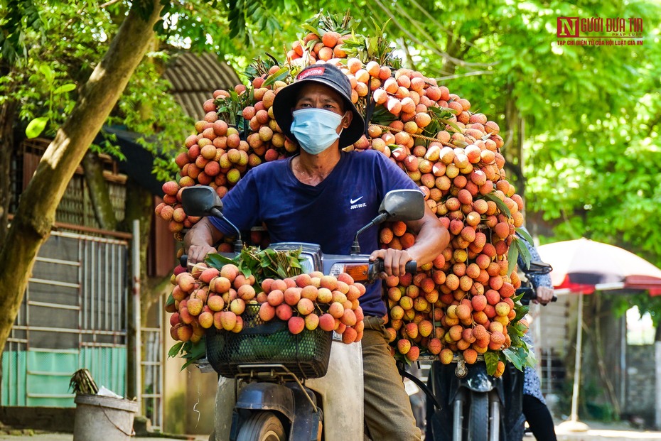 Nông nghiệp quyết cán mốc 55 tỷ USD trong năm 2022