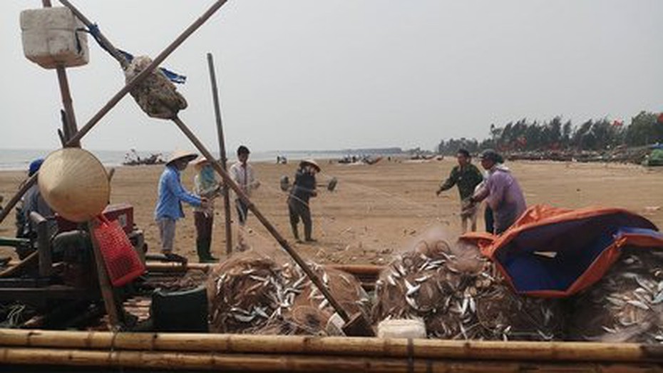 Thanh Hóa: Ngư dân thu bạc triệu mỗi ngày nhờ "lộc biển"