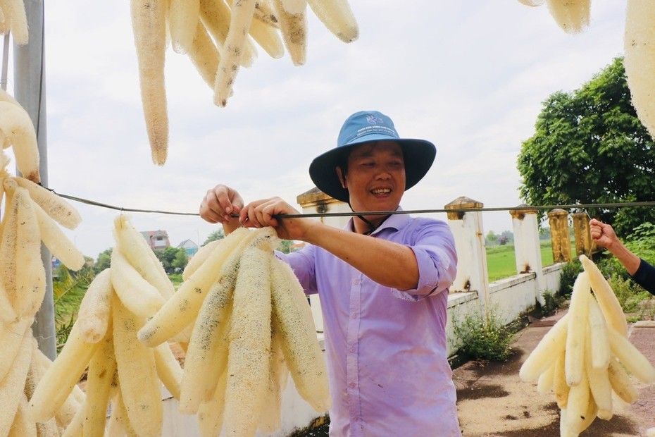 Trồng loài cây có quả được ví như "nhân sâm" trong vườn, người dân có thu nhập khá