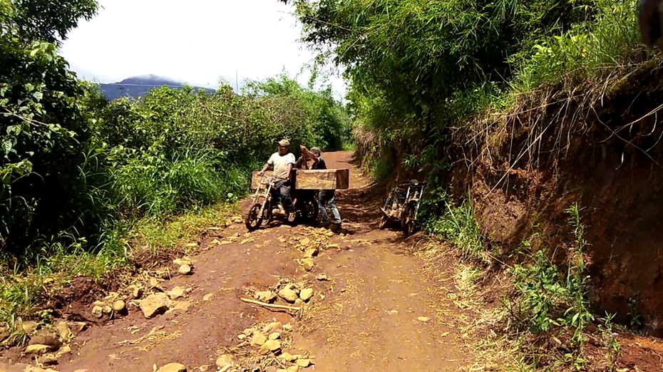 Gia Lai: Làm rõ vụ vận chuyển lâm sản trái phép tại huyện Mang Yang