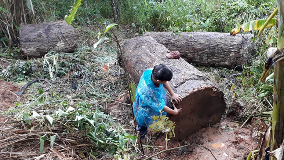 Kon Tum: Lật xe chở gỗ, một người đàn ông tử vong