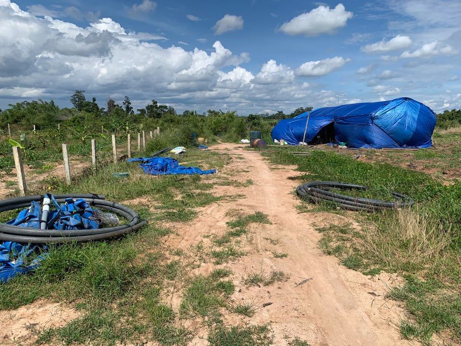 Cán bộ công ty Cao su Bình Dương "xẻ thịt" đất công cho thuê trục lợi, Giám đốc không hay biết