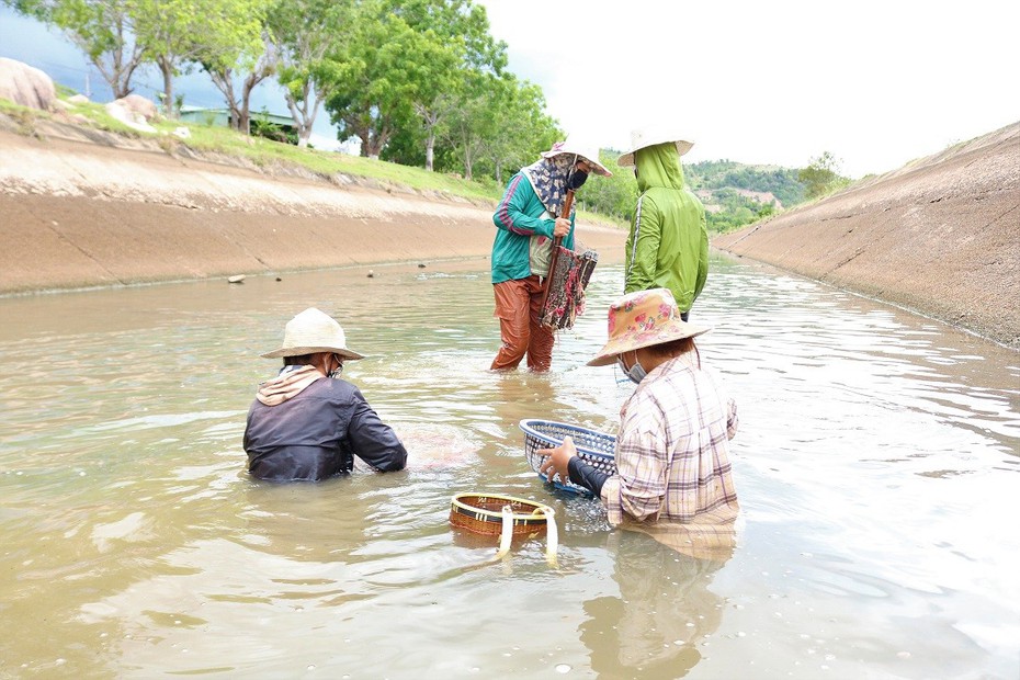 Mùa hến về trên Cao nguyên