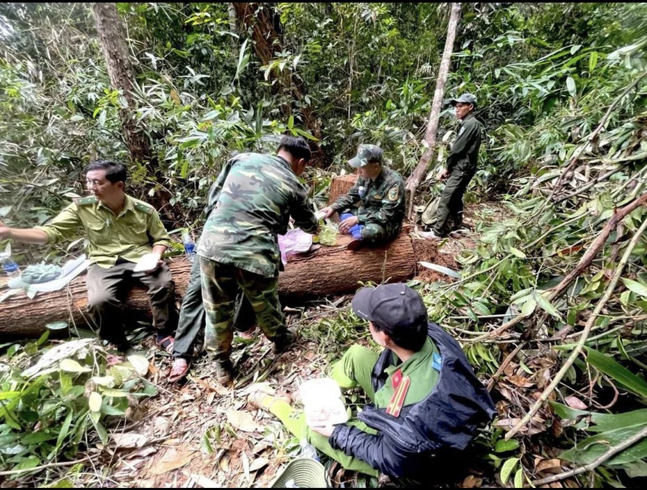 Kon Tum: Điều tra vụ phá rừng quy mô lớn ở huyện Sa Thầy
