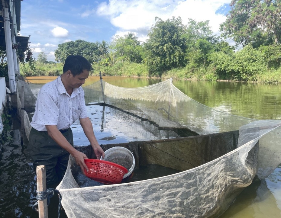 Gia Lai: Nông dân đổi đời nhờ nuôi cá giống