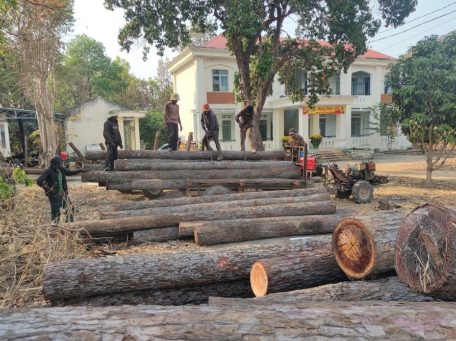 Gia Lai: Điều tra vụ 30 đối tượng khai thác gỗ trái phép