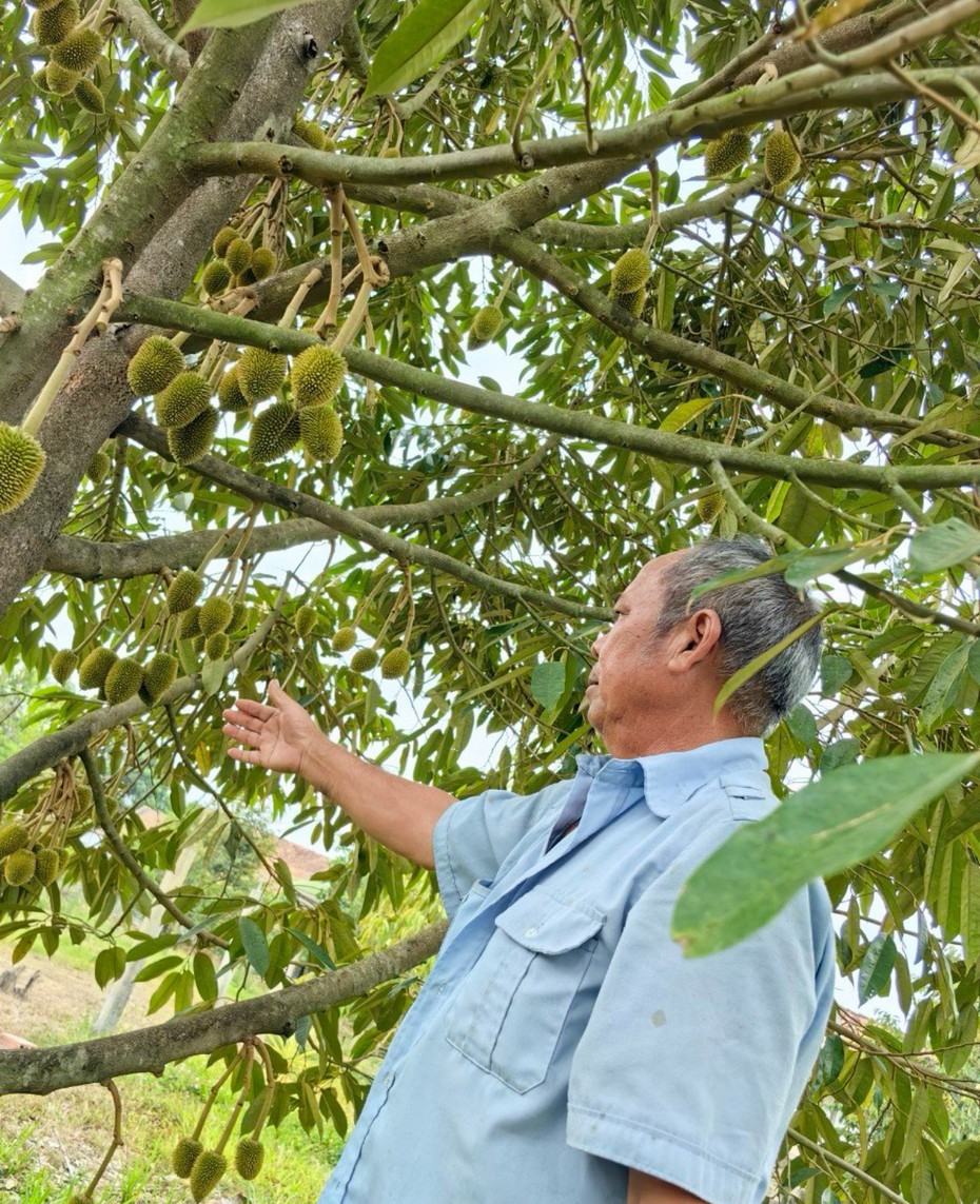 Kon Tum: Nhiều mô hình sinh kế giúp người dân xã biên giới thoát nghèo