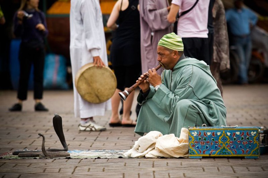 Clip: Độc đáo màn 'thôi miên rắn' ở chợ trời Morocco