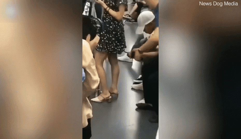 Clip: Cô gái bị biến thái quay lén và hành động của người đàn ông được dân tình ca ngợi