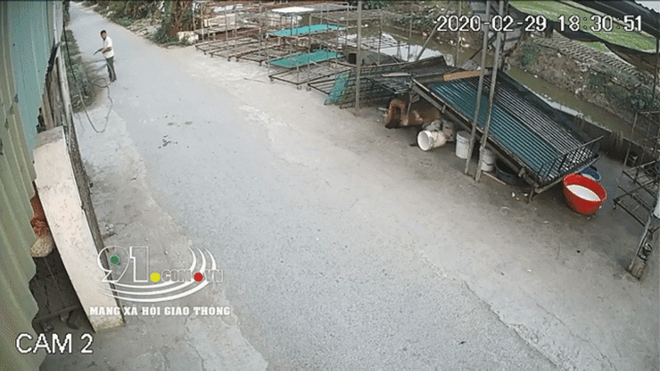 Clip: Chó bất ngờ lao sang đường khiến 2 người bị thương nặng