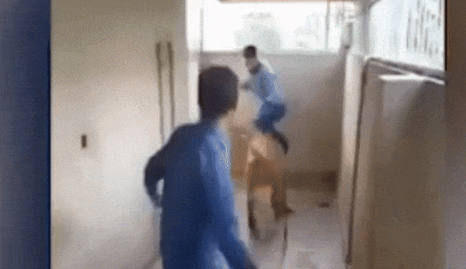 Clip: Người đàn ông bị sư tử vồ giữa hành lang và cái kết thót tim