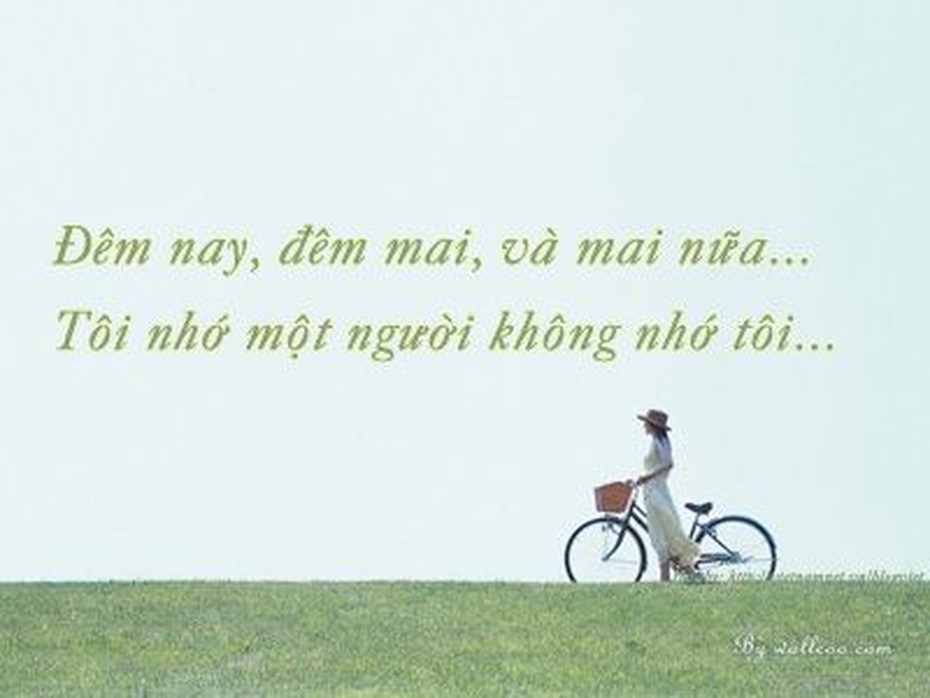Theo tình tình chạy, chạy tình tình theo