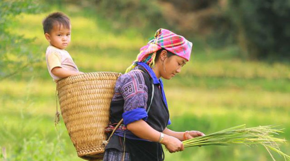 “Mùa vàng Tây Bắc” đẹp nao lòng dưới con mắt của nhiếp ảnh gia Hà thành