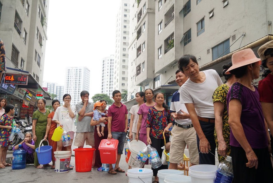 Vụ sự cố nước sạch sông Đà nhiễm bẩn: “Phải làm chuồng nhanh chóng để không mất thêm bò nữa”