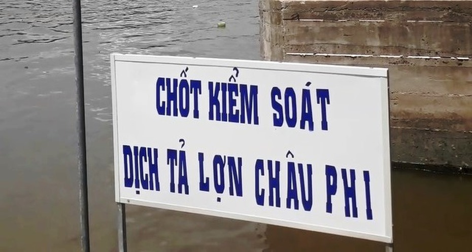 Cà Mau lập chốt kiểm dịch đường bộ, đường thủy ngăn chặn dịch tả lợn châu Phi