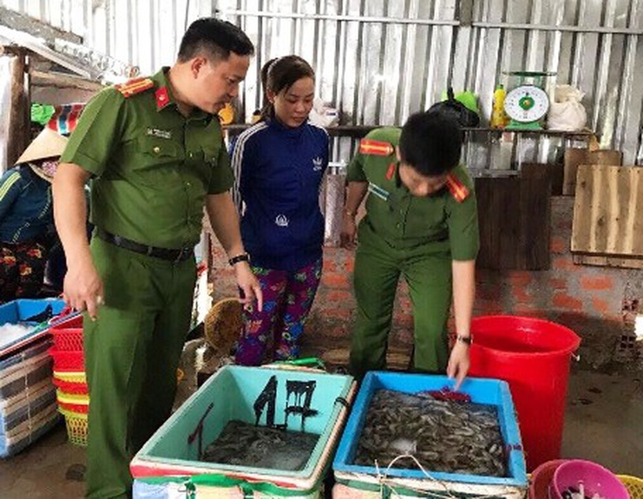 Người đàn ông thu gom tôm sú chứa tạp chất Agar bị phạt trên 70 triệu