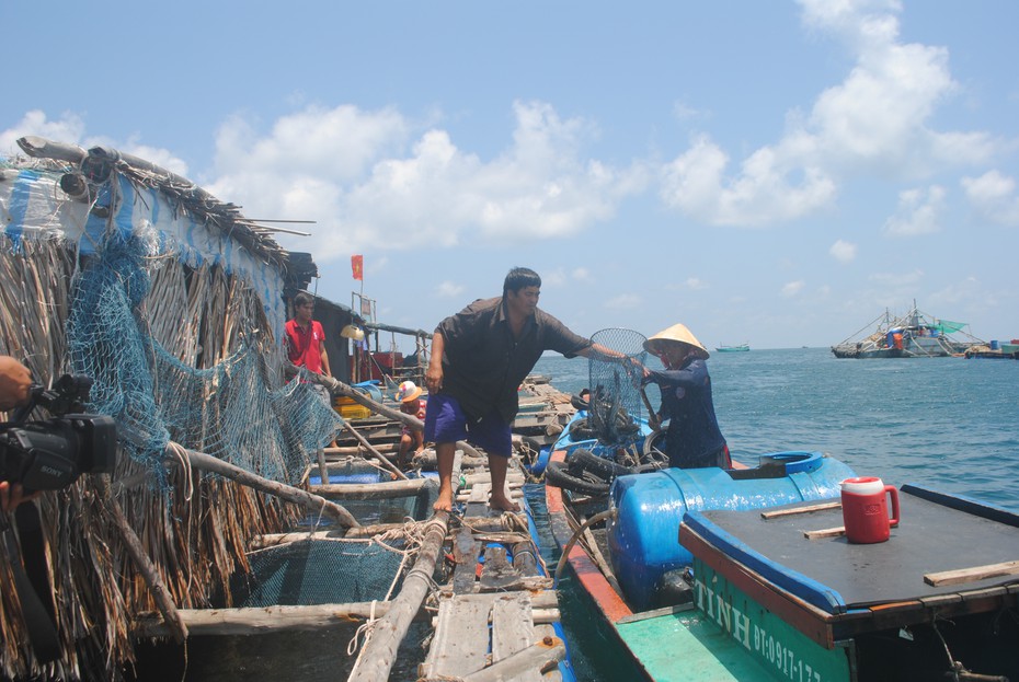 Người dân đảo Hòn Chuối lo lắng vì cá bớp nuôi lồng bè chết kéo dài