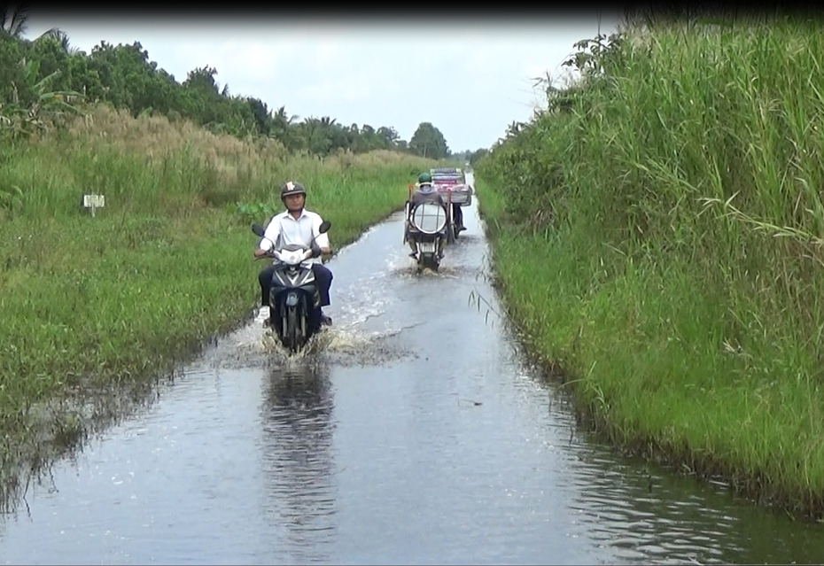 Cà Mau tăng cường giải pháp ứng phó với triều cường, mưa lũ