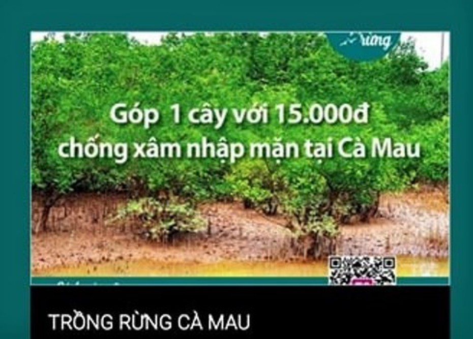 “Hỏa tốc” xác minh việc vận động trồng rừng tại vườn Quốc gia Mũi Cà Mau