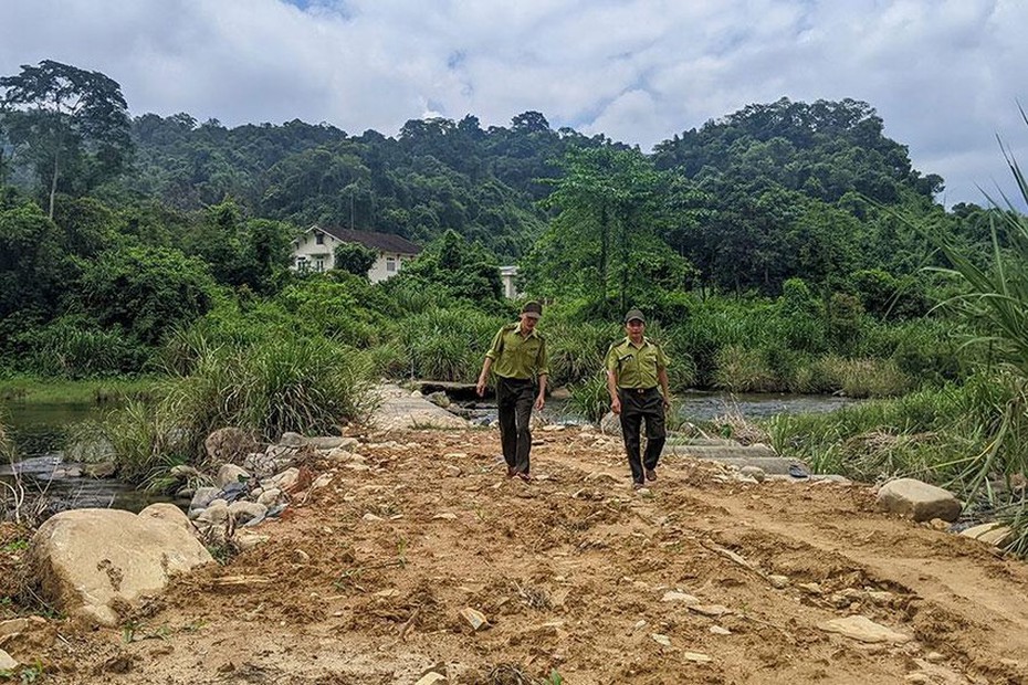 “Đặc cách” của kiểm lâm trên tuyến cao tốc đi qua Thừa Thiên-Huế