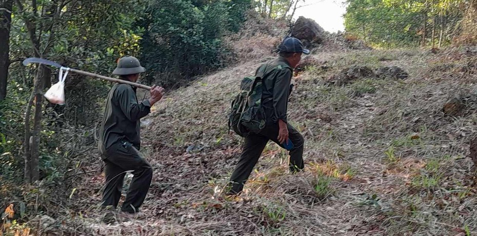 Những người "gác rừng" không có ngày nghỉ lễ