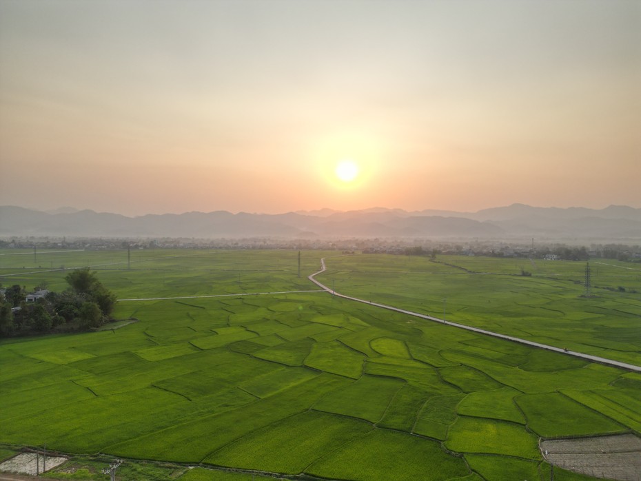 Tìm đường "lên đời" cho hạt gạo Mường Thanh