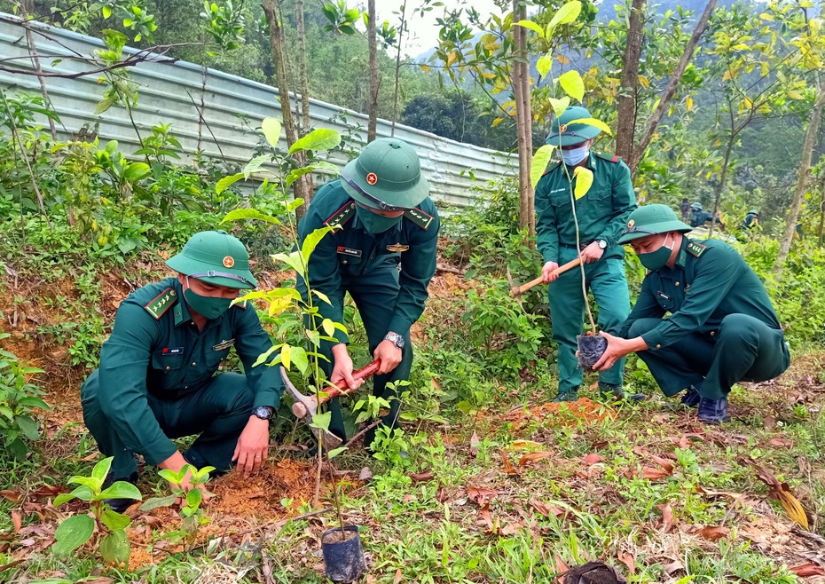 TP.Đà Nẵng: Hàng ngàn cây xanh ươm mầm từ phát động Tết trồng cây