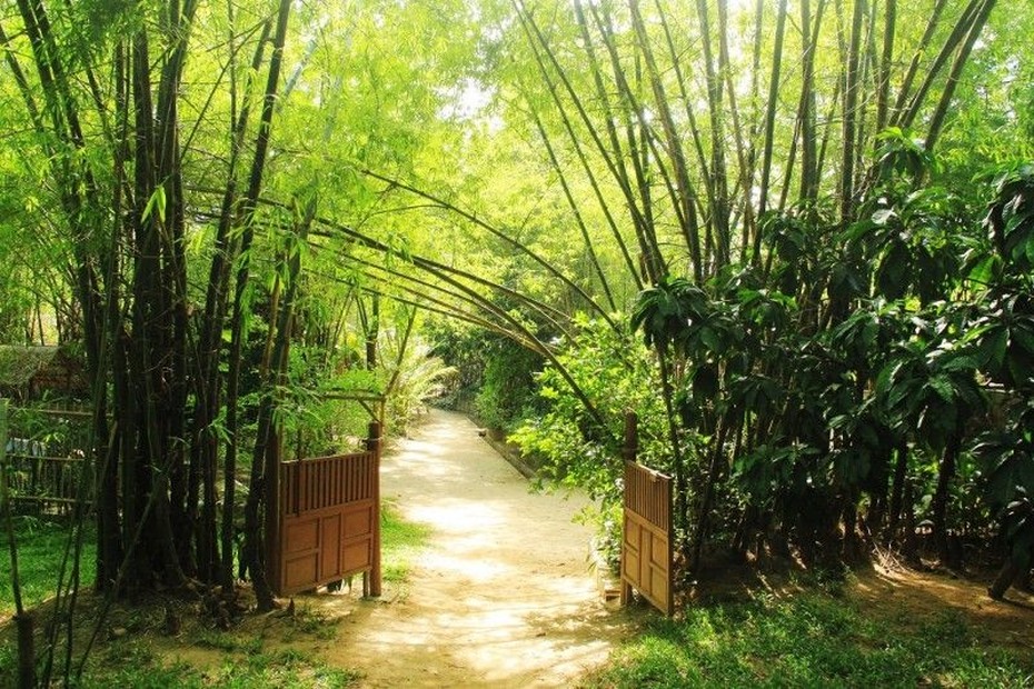 “Đi”, với người Việt
