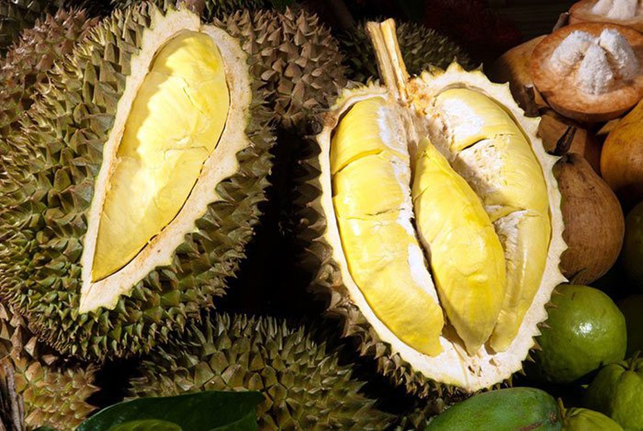5 mẹo hay để chọn được quả sầu riêng thơm ngon