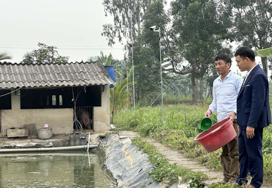 Anh nông dân kiếm hàng trăm triệu đồng nhờ nuôi loại cá "sống ở trên cạn"