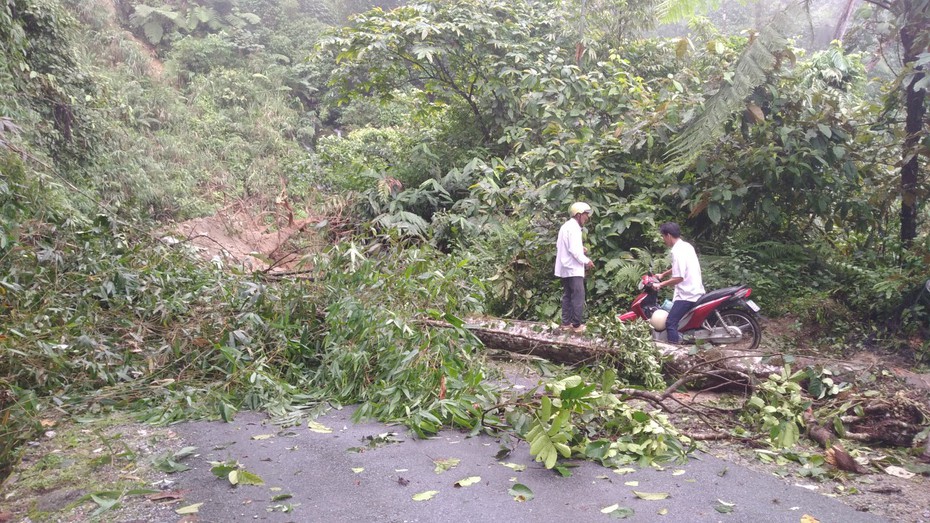Mưa lớn khiến 64 ngôi nhà của người dân ở Hà Giang bị hư hại