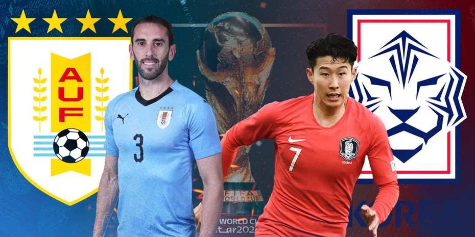 “Mèo tiên tri”, đại bàng Romeo dự đoán kết quả trận Uruguay và Hàn Quốc