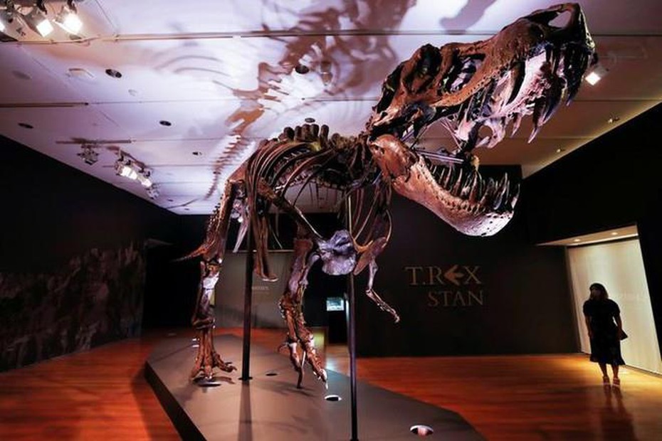 Hóa thạch khủng long bạo chúa T-Rex được bán với giá cao kỷ lục​