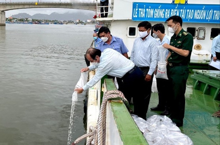 Phú Yên: Thả 1 triệu con tôm giống ra biển, tái tạo nguồn lợi thủy sản