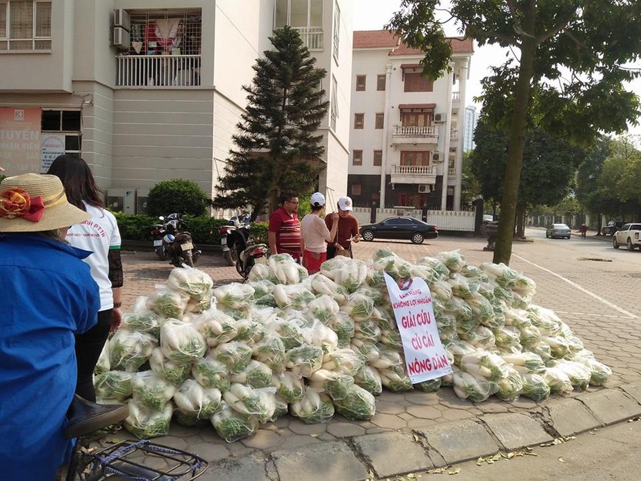 Điệp khúc “giải cứu” nông sản mất giá, bộ chủ quản cho đó là điều không thể tránh khỏi