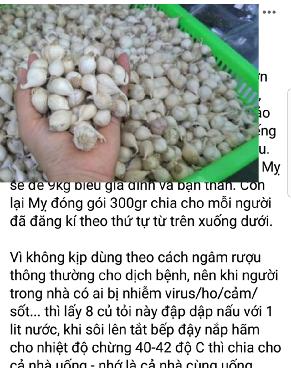 Sự thật về cách tiêu diệt virus corona nhờ tỏi cô đơn Lý Sơn đang lan truyền