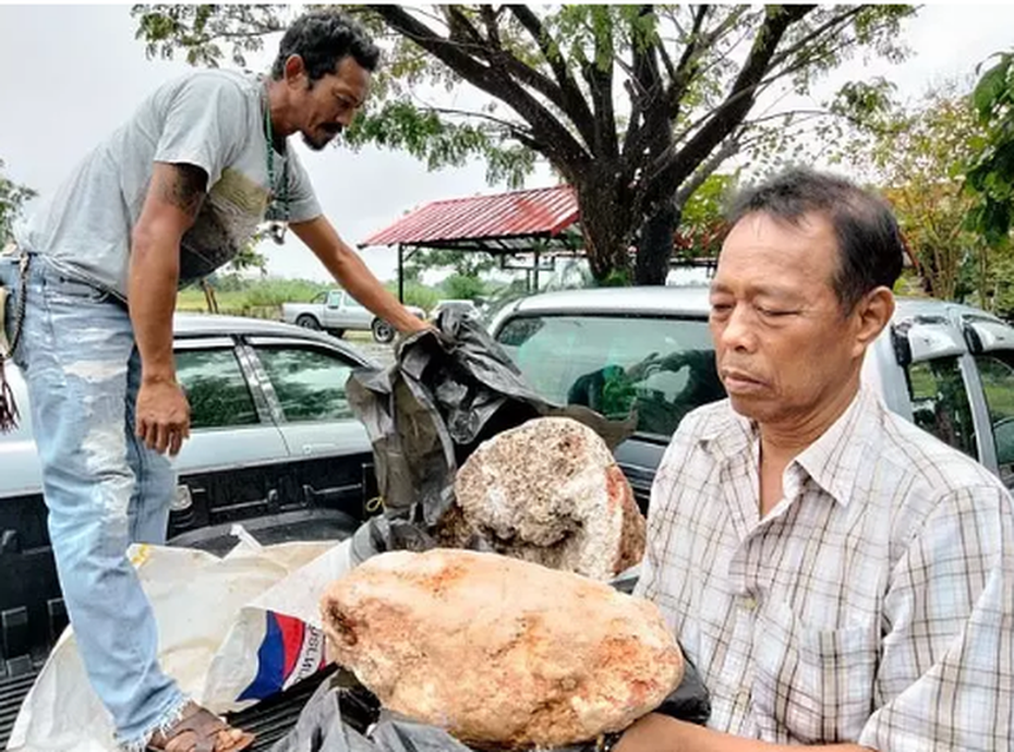 Dạo bờ biển, ông lão bất ngờ tìm thấy "báu vật" trị giá hơn 74 tỷ đồng