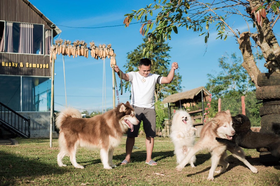 Chàng trai bán hàng rong thành tỷ phú nhờ nuôi chó trên đất cao nguyên